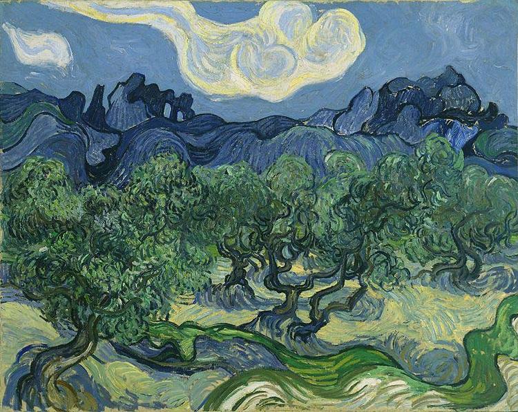 Vincent Van Gogh The Olive Trees oil painting picture